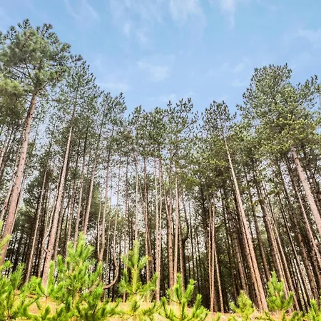 Les Maisons De Belle Dune - Maeva - Maison 2 Pieces 5 Personnes Selection Mae-4185 Apartman